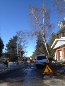 Sektionsfällning