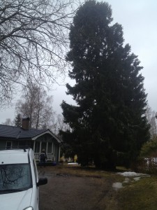 Trädfällning Grödinge erik roos trädfällarn granved