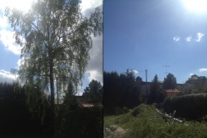 Trädfällning Örby Enskede älvsjö Stuvsta