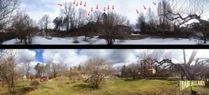 trädfällning i tullinge, huddinge, stockholm, tumba, rönninge, salem segeltorp